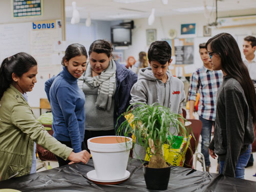 Students planting a plant in a pot.